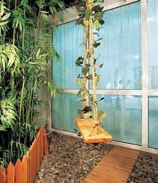 家居风水植物禁忌