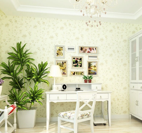 招财树风水大全